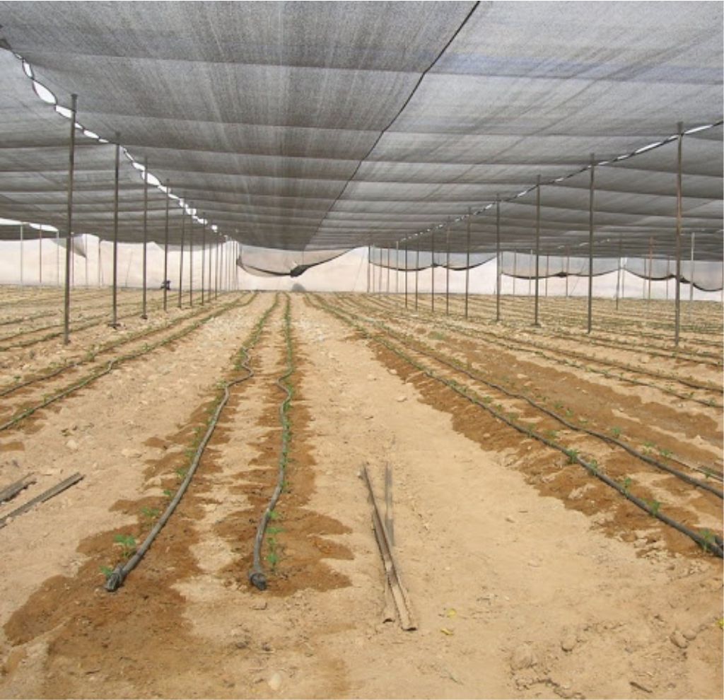 Anti-Insects Netting, 40 & 50 Crystal Mesh UV 5 year stabilized