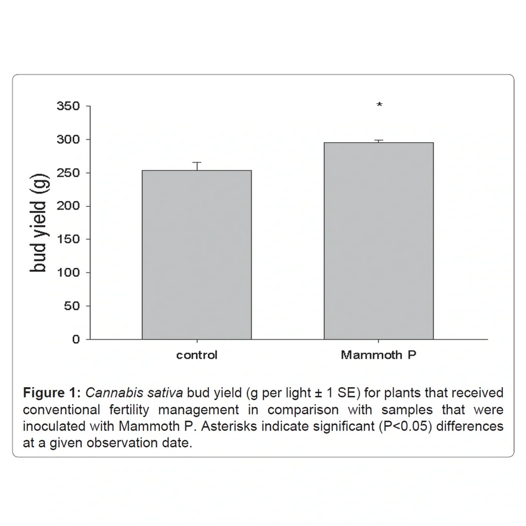 Mammoth P Active Microbials