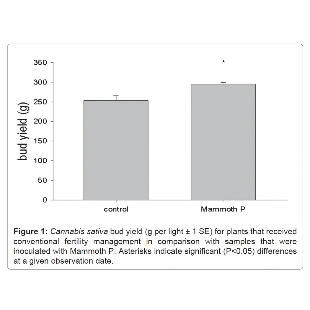 Mammoth P Active Microbials