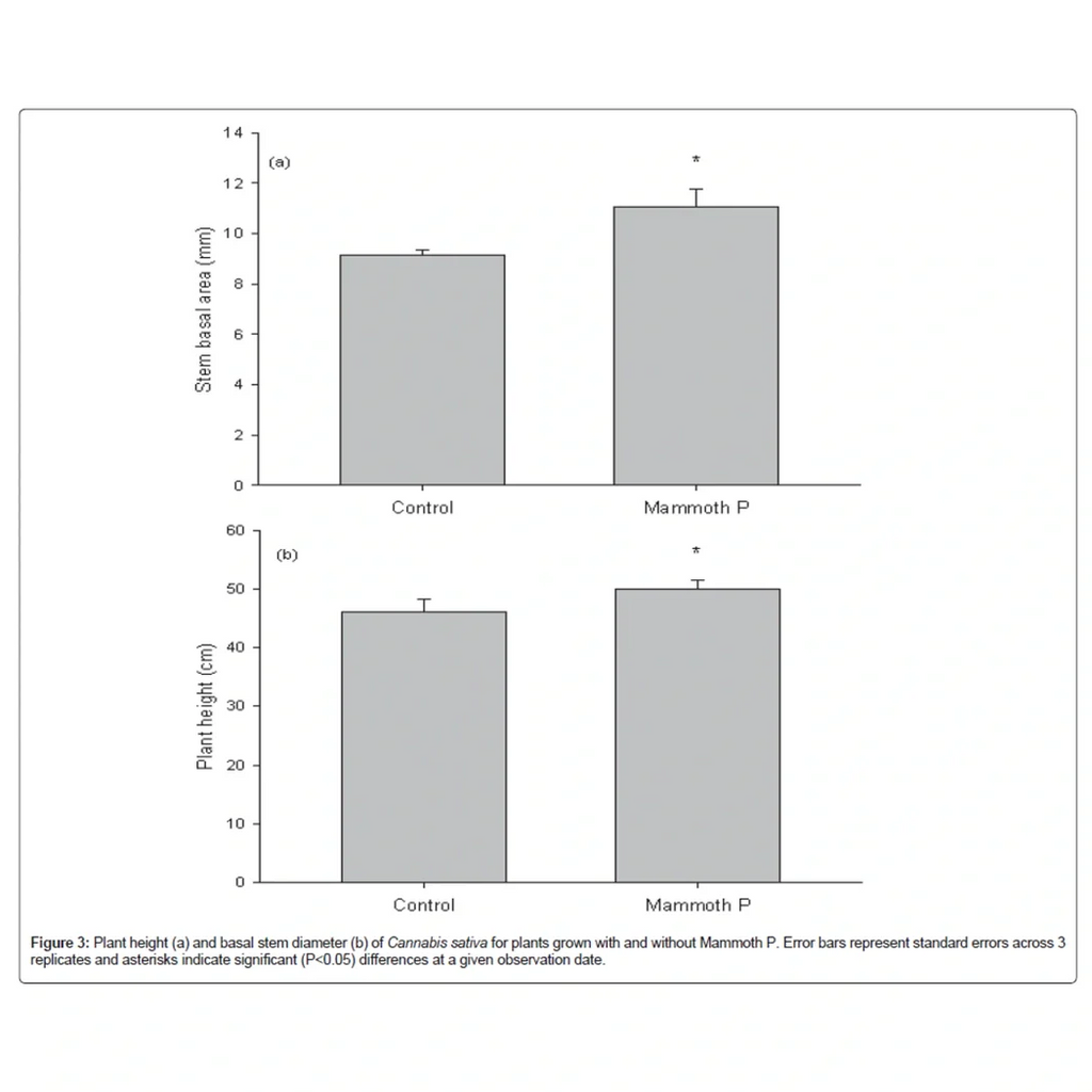Mammoth P Active Microbials
