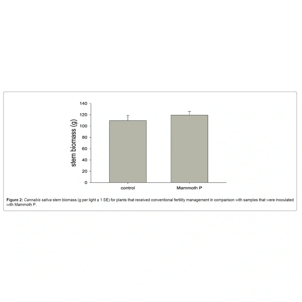 Mammoth P Active Microbials