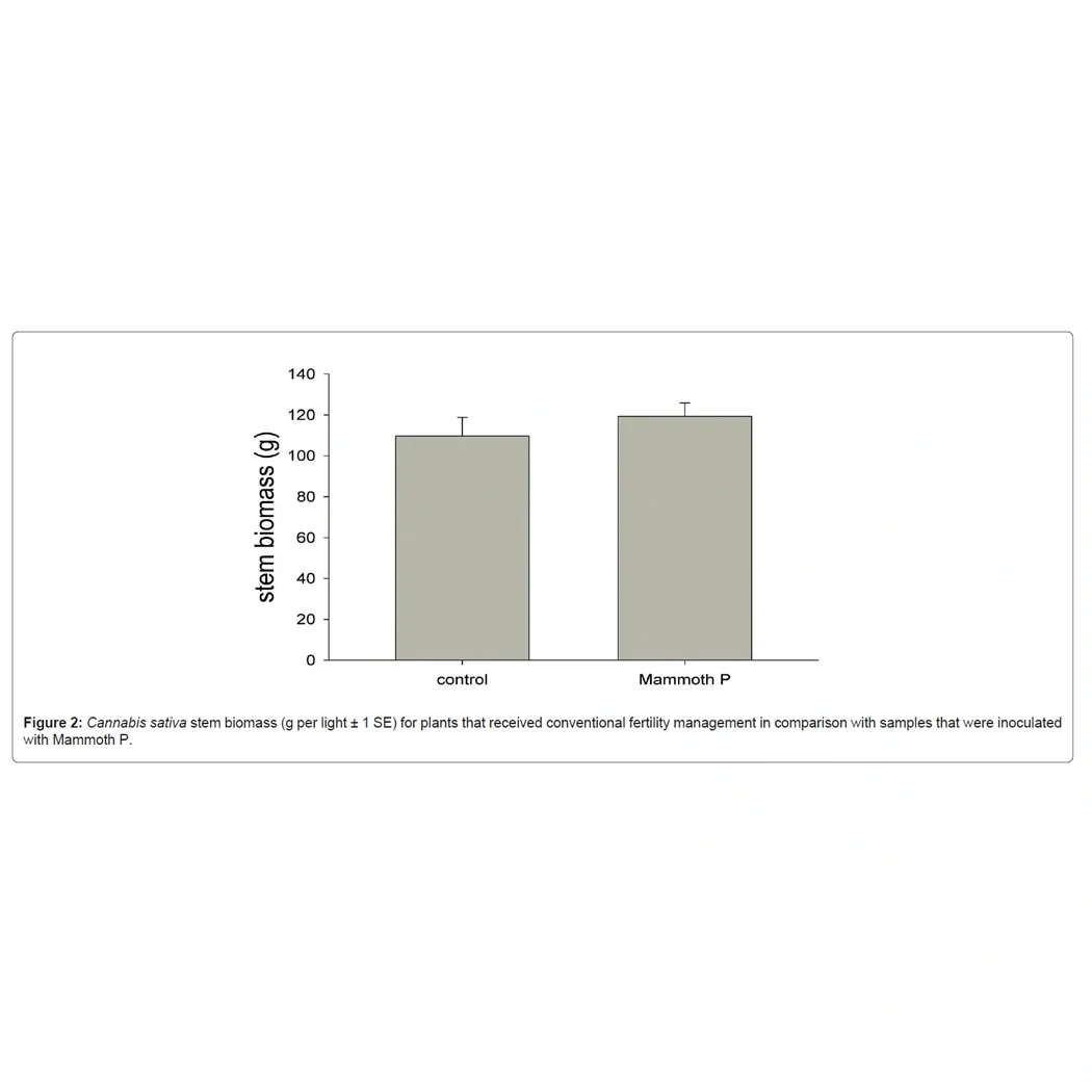 Mammoth P Active Microbials