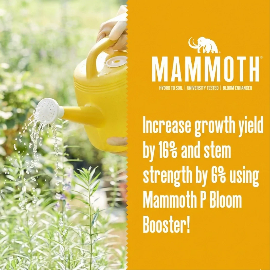 Mammoth P Active Microbials
