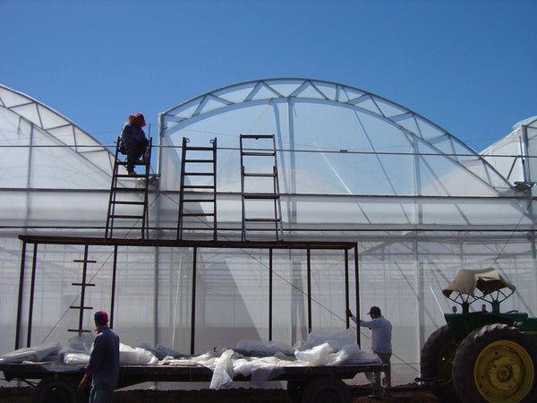 SunView™ Therm CLEAR Greenhouse Plastic Film 6 Mil UV 4 Year AD/IR/55% Diffusion (E2119)