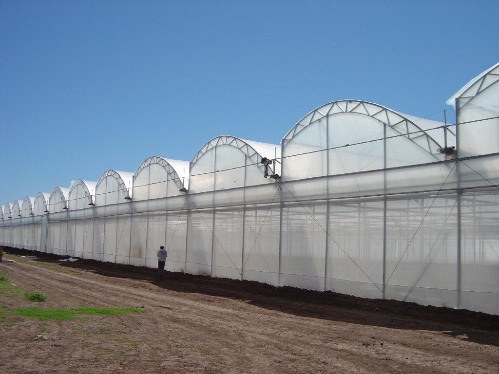 SunView™ Standard CLEAR Greenhouse Plastic Film 6 Mil UV 4 Year 90% Light Trans. (E2118)