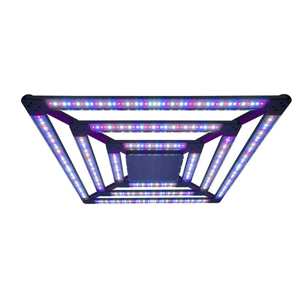 Sun blaze clearance t5 24