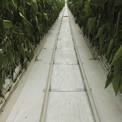 Ground Cover White 3.2 oz Premium™