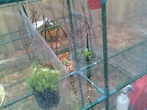 Greenhouse Repair Tape UV Clear - Extra Strong