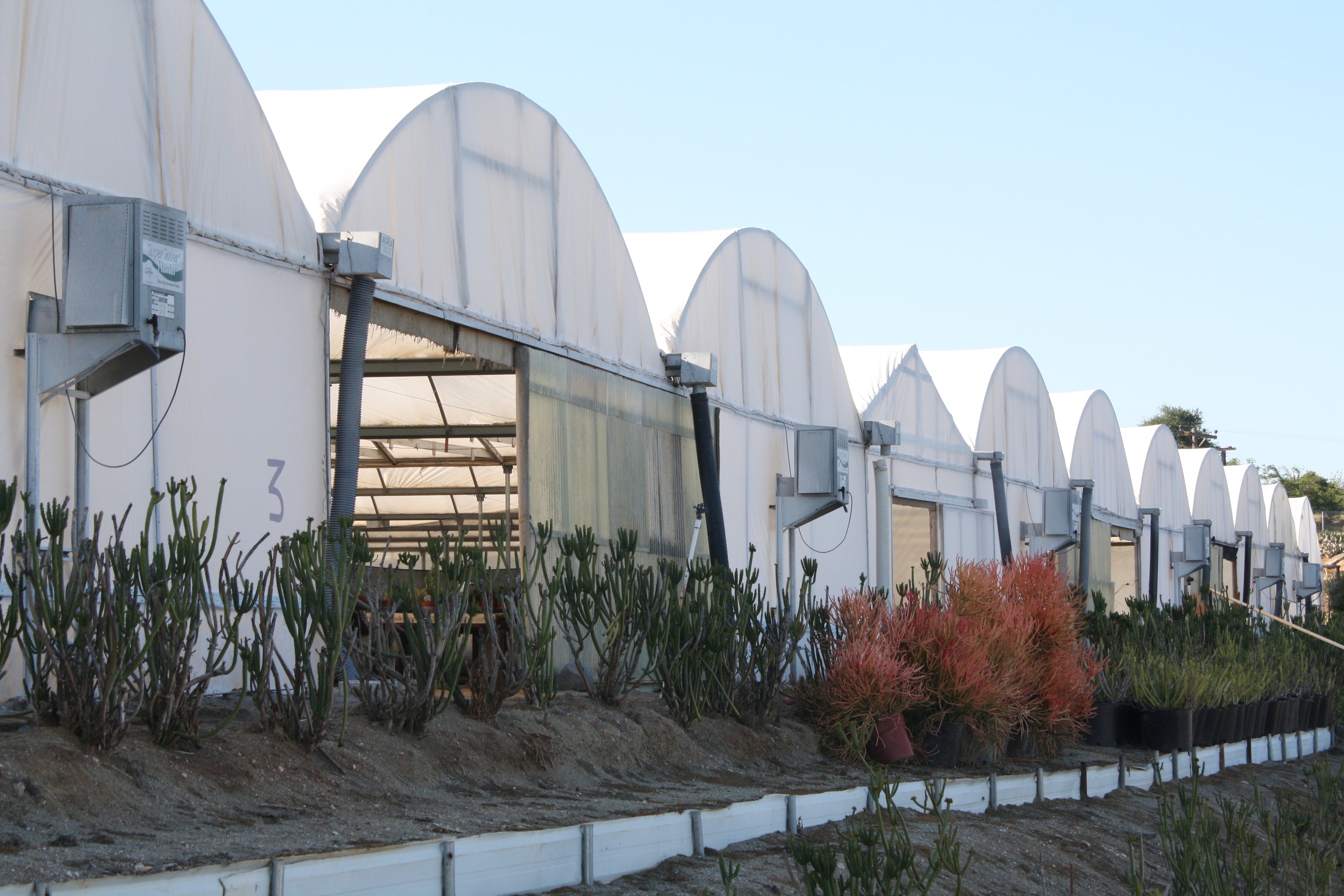 SunView™ WHITE Greenhouse Plastic Film 6 Mil UV 4 Year 50%-55% shade (E1576)