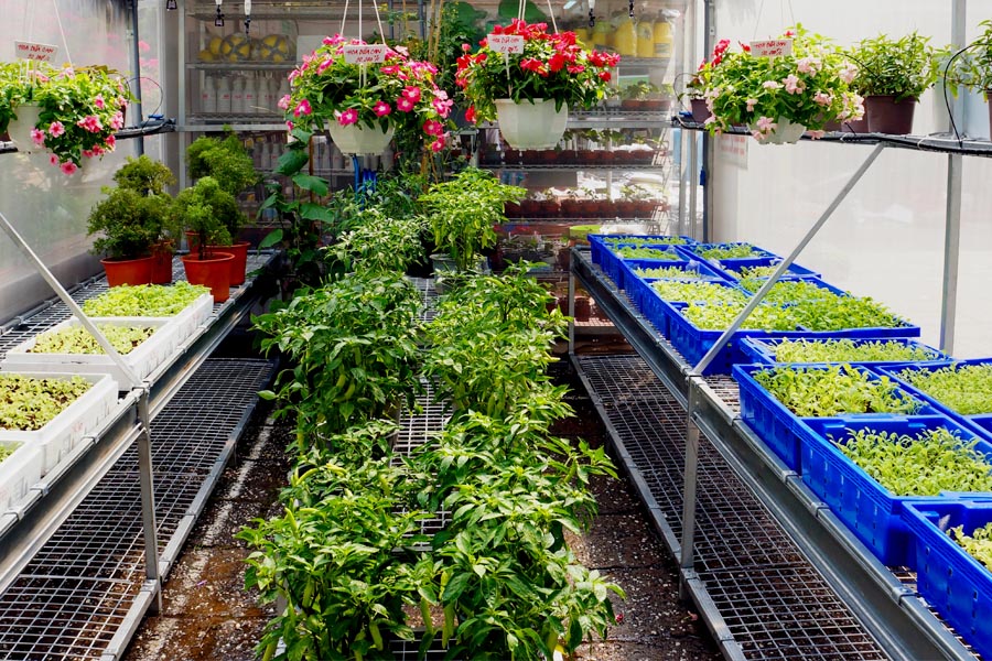 SunView™  SMALL SIZES Greenhouse Clear Plastic Film Polyethylene Covering