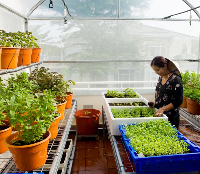 SunView™  SMALL SIZES Greenhouse Clear Plastic Film Polyethylene Covering